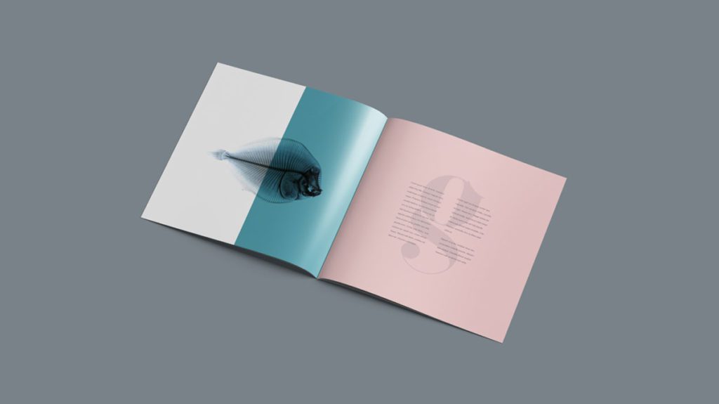 819+ Square Brochure Psd Mockup