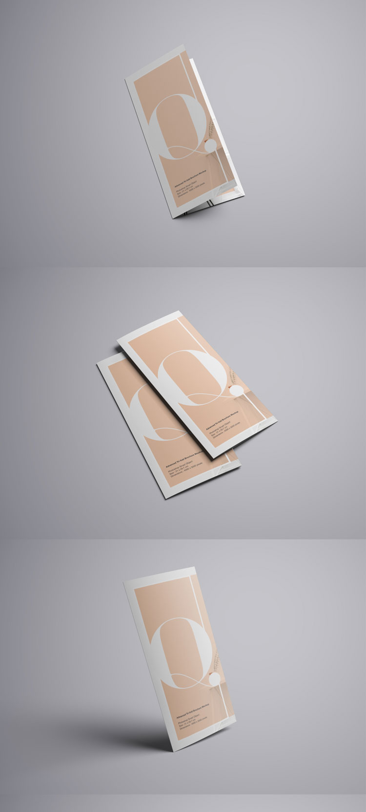7557+ Brochure Free Psd Mockup